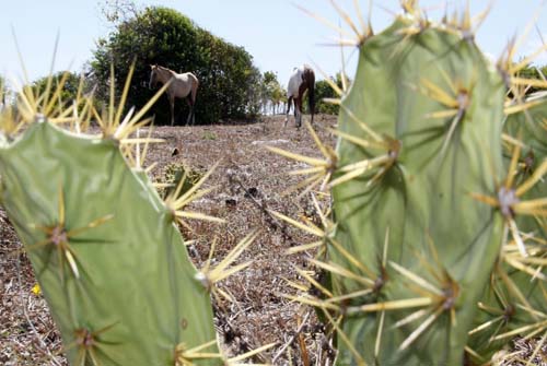 Episódios climáticos sem precedentes atingiram mundo na última década, diz ONU