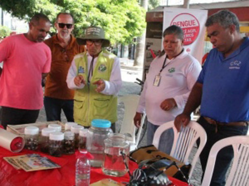 Arapiraca promove Dia D no combate a dengue e une prefeitura e comunidade
