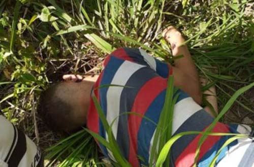 Populares encontram jovem assassinado dentro de plantação de fumo, em Arapiraca