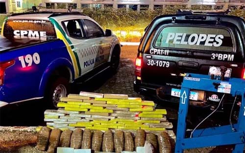 Arapiraca: 150 kg de maconha são apreendidos enterrados em tonéis