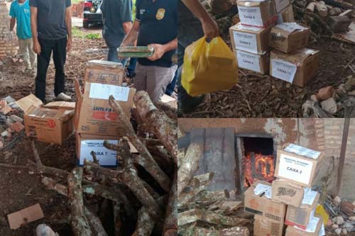 PC incinera mais de 150 kg de drogas apreendidas em ações policiais em Arapiraca