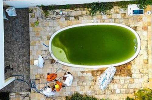 Homem morre afogado ao tentar fugir de ataque de abelhas no Sertão Alagoano