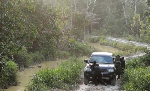 Acompanhada da PF e da Força Nacional, equipe do Ibama é alvo de tiros no Pará