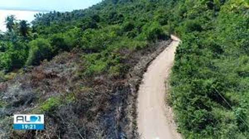 Sedet de Maceió: MPE recomenda suspensão imediata de desmatamento no Bebedouro