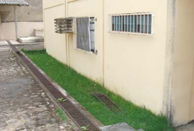 Tv Tribuna União