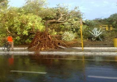 Depois do Agreste, temporais devem atingir o Sertão de Alagoas