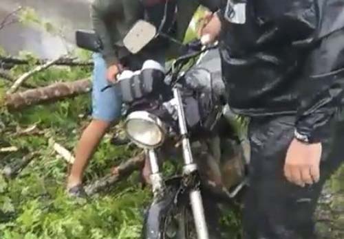 Árvore cai por cima de motociclista em São José da Laje