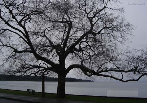 Começa o outono no Brasil 