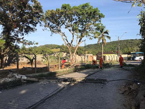 Árvore cai, atinge fiação de poste e provoca incêndio em vegetação em Rio Novo