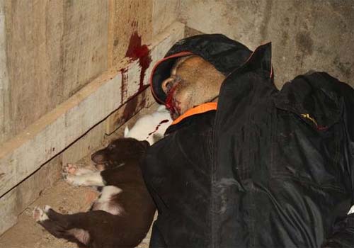 Em suposta tentativa de assalto agricultor é morto a tiros em Batalha