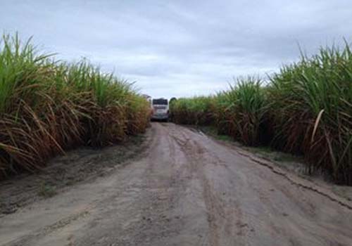 Alagoas: após assaltar ônibus na BR-101, bando em fuga faz motorista de van refém