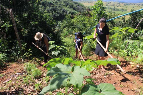 “Nossa situação é preocupante, não produzimos nada”, diz trabalhador de assentamento