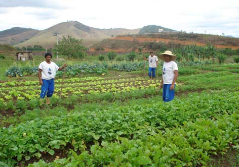 Secretários e setor agrícola discutem criação de órgão de assistência rural