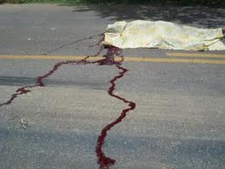 Homem é atropelado e morre na AL-220 em Delmiro Gouveia