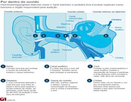Escutar som muito alto pode causar perda irreversível da audição