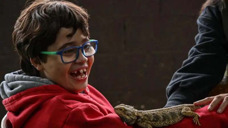 Censo revela dados inéditos sobre autismo e deficiência no Brasil