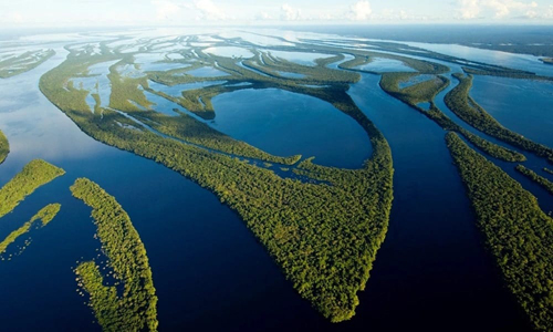 Hidrelétricas: Barragens transformam Amazônia em zona de sacrifício