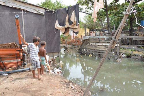 Período chuvoso aumenta riscos de contrair leptospirose