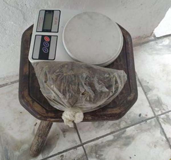 Operação integrada desarticula organização criminosa na orla lagunar de Maceió