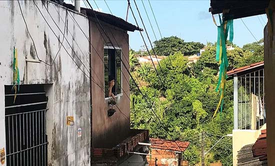 Homem é morto na varanda de casa ao tentar proteger filho de tiroteio