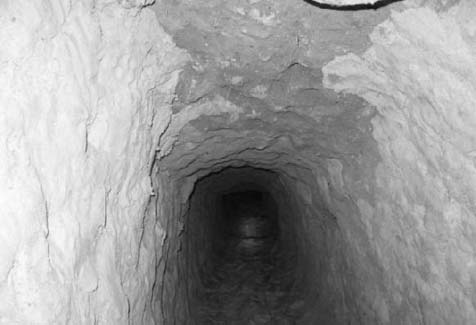 Agentes penitenciários descobrem grande túnel no Baldomero Cavalcanti
