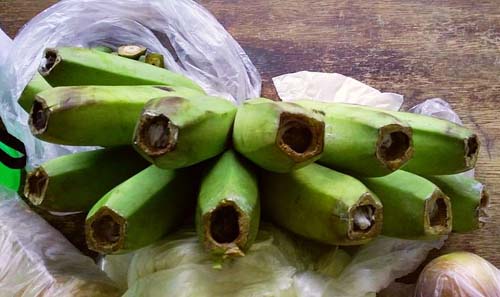 Agentes apreendem maconha em banana pela segunda vez em dois dias