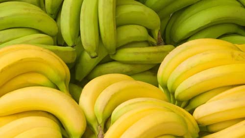 Bananas verdes emagrecem até seis quilos e 'secam' a barriga