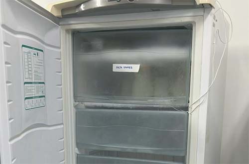 Banco de Leite Humano do Hospital Universitário precisa de doações