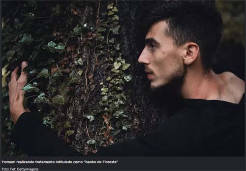 Banho de floresta’: conheça a terapia japonesa que pode ser implementada no SUS