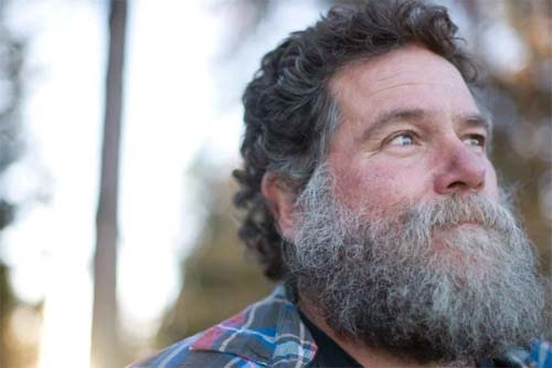 Barbas têm mais micróbios que privadas? O que diz a ciência