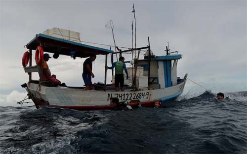 Espécie invasora é identificada em praia de AL e pode causar impactos na pesca e no turismo
