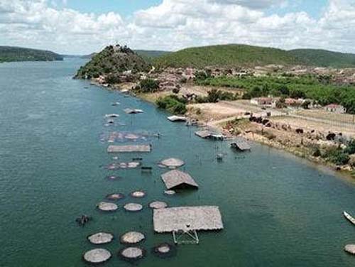 Nível do Rio São Francisco sobe e encobre barracas em Pão de Açúcar