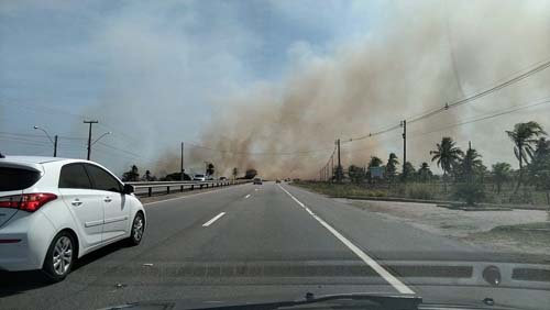 Incêndio em vegetação deixa parte da AL-101 Sul bloqueada