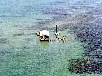 Onda de arrombamentos assusta moradores de loteamento na Ilha da Crôa, em Alagoas