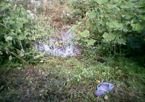 Corpo de garoto de seis anos é encontrado em Santana do Ipanema