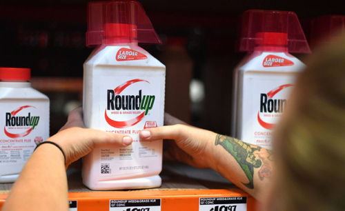 Fabricante de agrotóxicos Monsanto é condenada nos EUA a pagar dois bilhões de dólares a casal com câncer