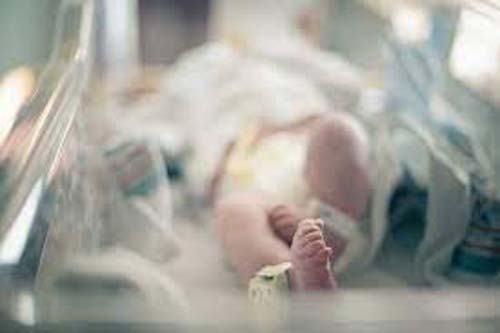 Bebê de 8 meses está etre as vitimas da Covid nesta quarta feira