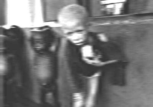 As 10 fotografias mais tristes do mundo