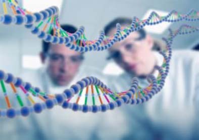 Cursos de Biologia de todo o País terão de se adaptar