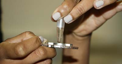 Novo biossensor detecta bactérias em alimentos e bebidas