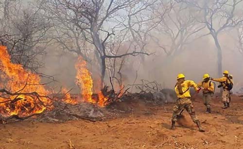Vários incêndios florestais devoram meio milhão de hectares na Bolívia