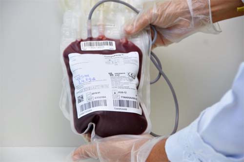 Doação de sangue pós dengue: Hemoal orienta sobre prazos e segurança conforme normas da Anvisa