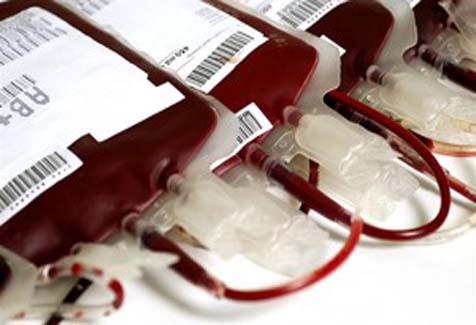 Hemoal precisa de sangue tipos A, B, AB e O Negativos