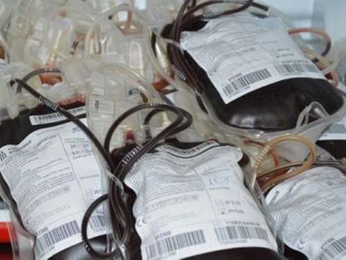 Alagoas é o segundo estado que menos doa sangue do Nordeste, aponta levantamento