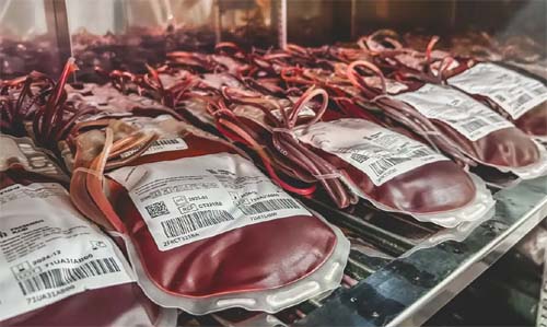 Hemoal realiza coleta externa de sangue em Arapiraca e União dos Palmares nesta terça-feira