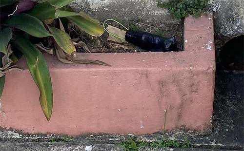 Ocorrências com bombas em Maceió serão investigadas por comissão de delegados