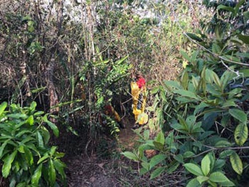Bombeiros encontram cadáver em mata no Jardim Petrópolis