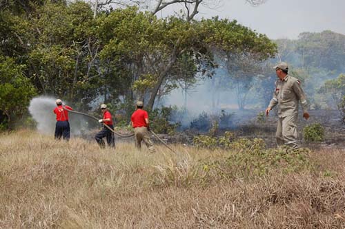 Bombeiros são acionados 04 vezes para combater incêndio em vegetação em Marechal Deodoro