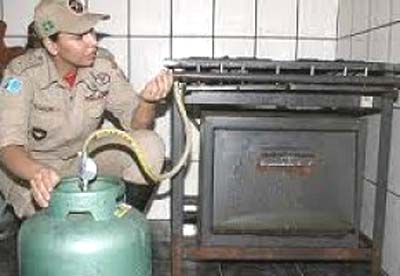 Botijão de gás explode e faz duas vítimas no Tabuleiro