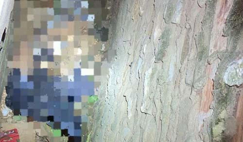 Braços humanos são encontrados em residência abandonada, em Arapiraca